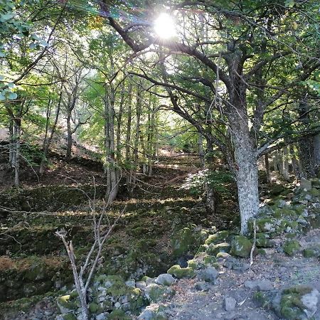 Ambroz Y Plata Villa Aldeanueva del Camino Eksteriør bilde
